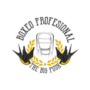 logo de la escuela de Boxeo The Big Push